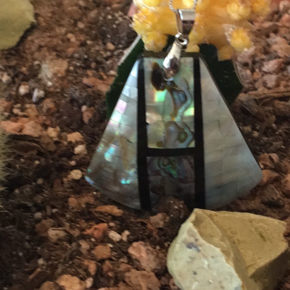 Stunning Abalone Necklace - Picture 5 of 9